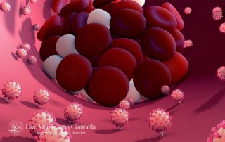 Vacinas contra a COVID-19 e Trombose